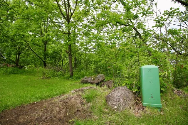 a green field with lots of trees