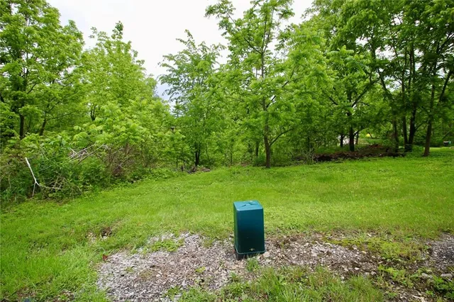 a view of a backyard with a plants