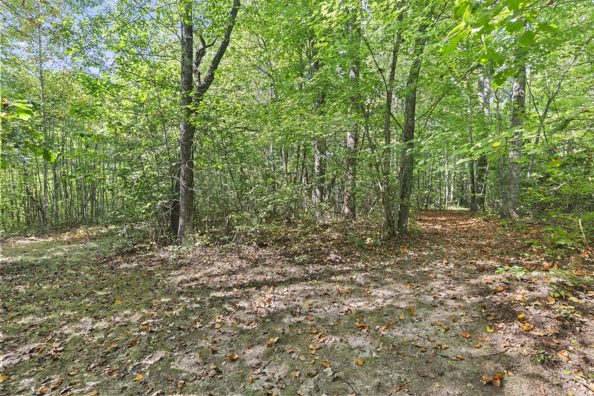 625 Meadows Road Sparta, TN 38583 - Photo 45 of 87 Gallery Image 45