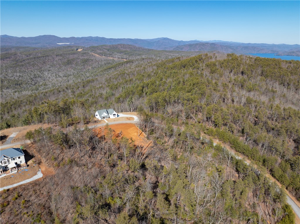 Lot N-16 Jocassee Ridge Way Salem, SC 29676 - Photo 29 of 29