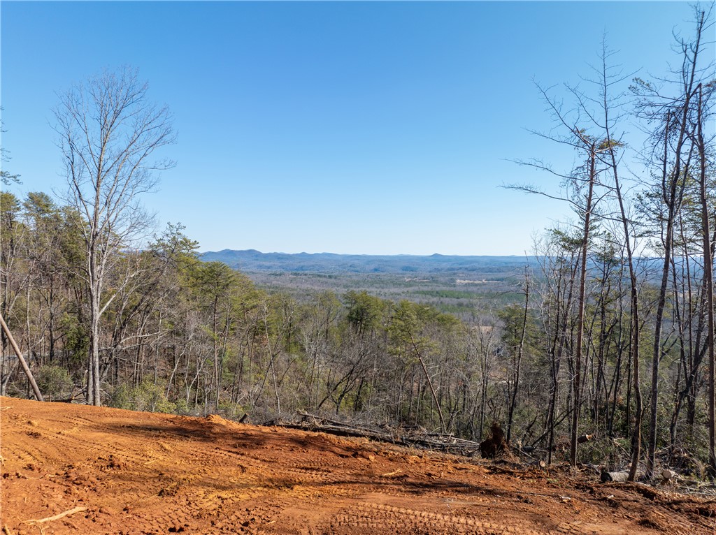 Lot N-16 Jocassee Ridge Way Salem, SC 29676 - Photo 5 of 29