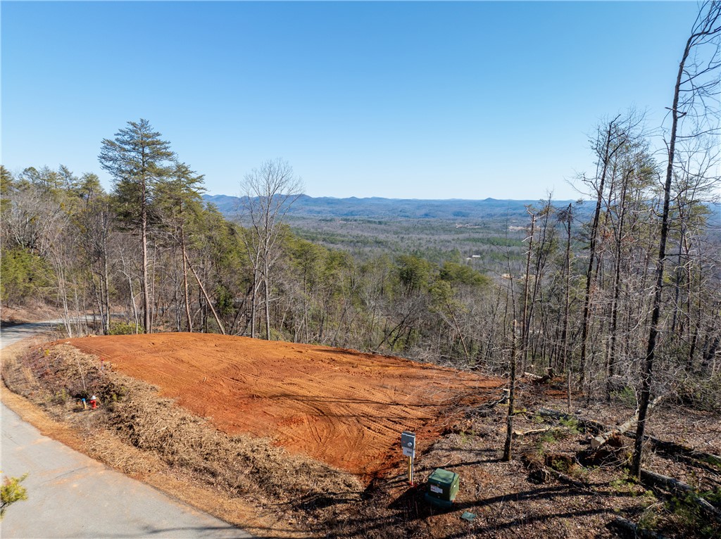 Lot N-16 Jocassee Ridge Way Salem, SC 29676 - Photo 7 of 29