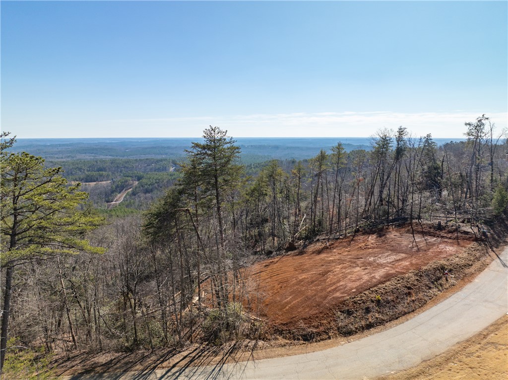Lot N-16 Jocassee Ridge Way Salem, SC 29676 - Photo 8 of 29