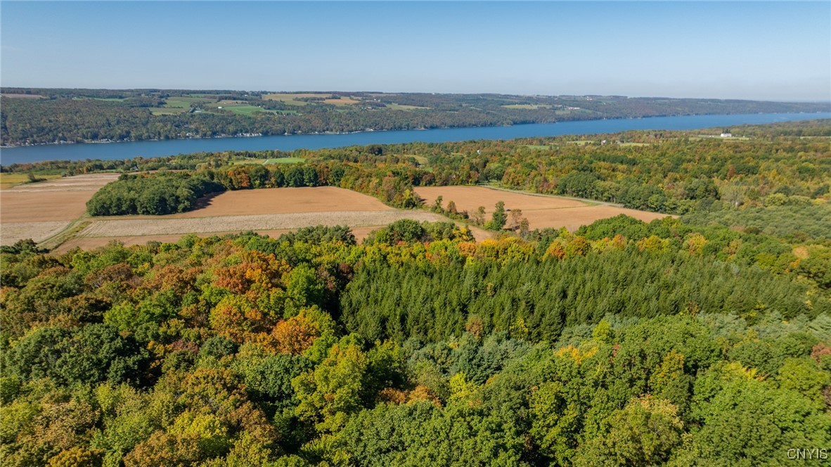 L11 Hall Road Moravia, NY 13118 - Photo 8 of 19
