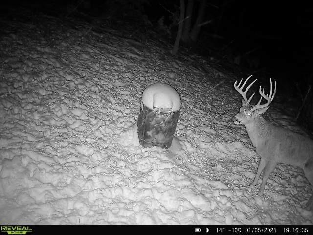 14781 Evening Star Road Eudora, KS 66025 - Photo 17 of 21