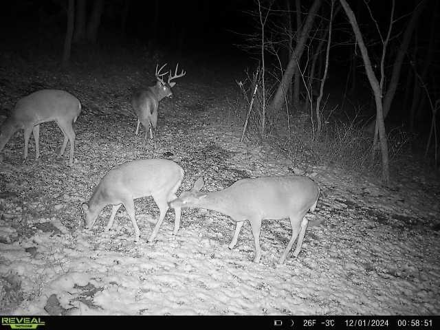 14781 Evening Star Road Eudora, KS 66025 - Photo 18 of 21