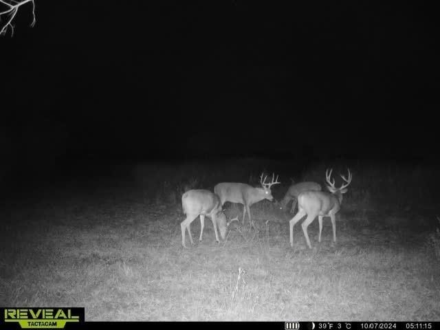 14781 Evening Star Road Eudora, KS 66025 - Photo 19 of 21