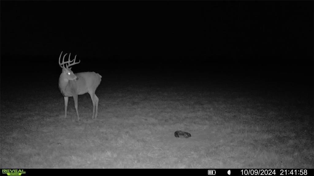 14781 Evening Star Road Eudora, KS 66025 - Photo 20 of 21