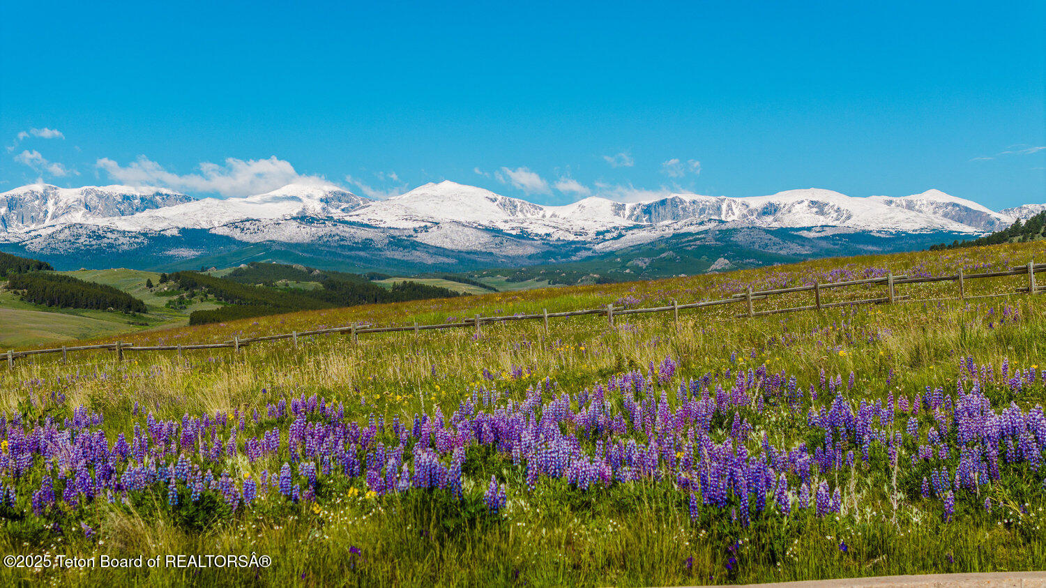 001_dji_20230617072445_0042_d_821