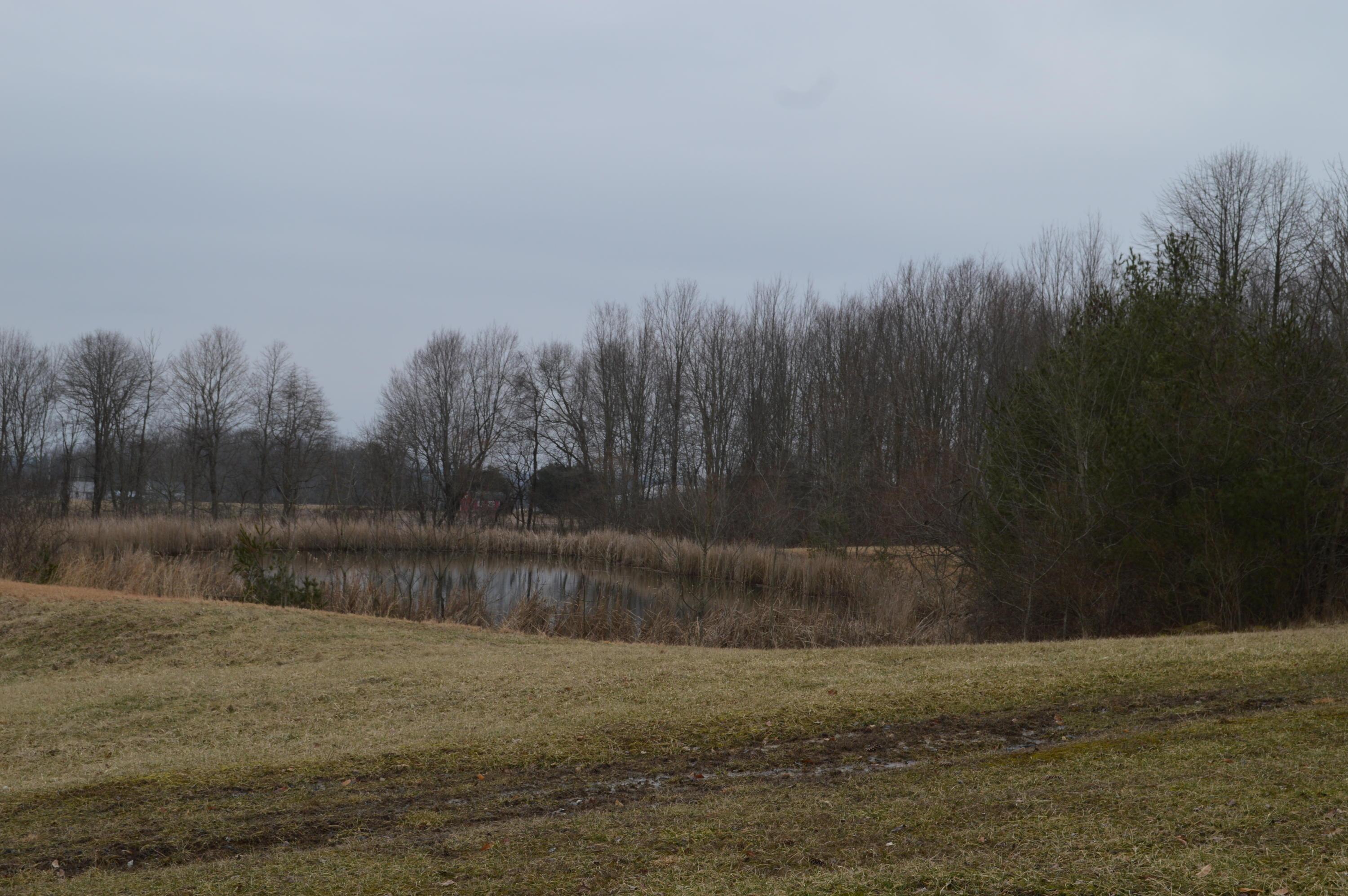 0 Pen Road Northwest Junction City, OH 43748 - Photo 1 of 8 Gallery Image 1