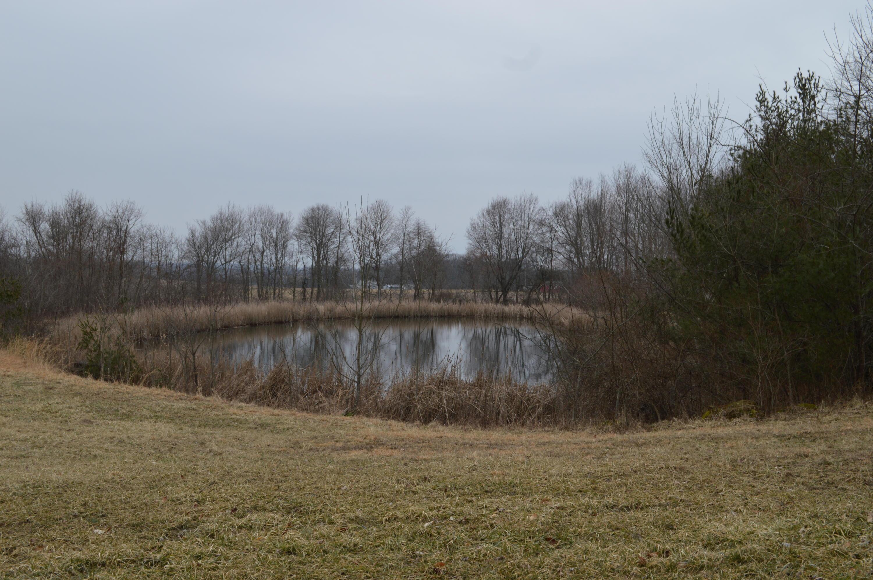 0 Pen Road Northwest Junction City, OH 43748 - Photo 2 of 8 Gallery Image 2