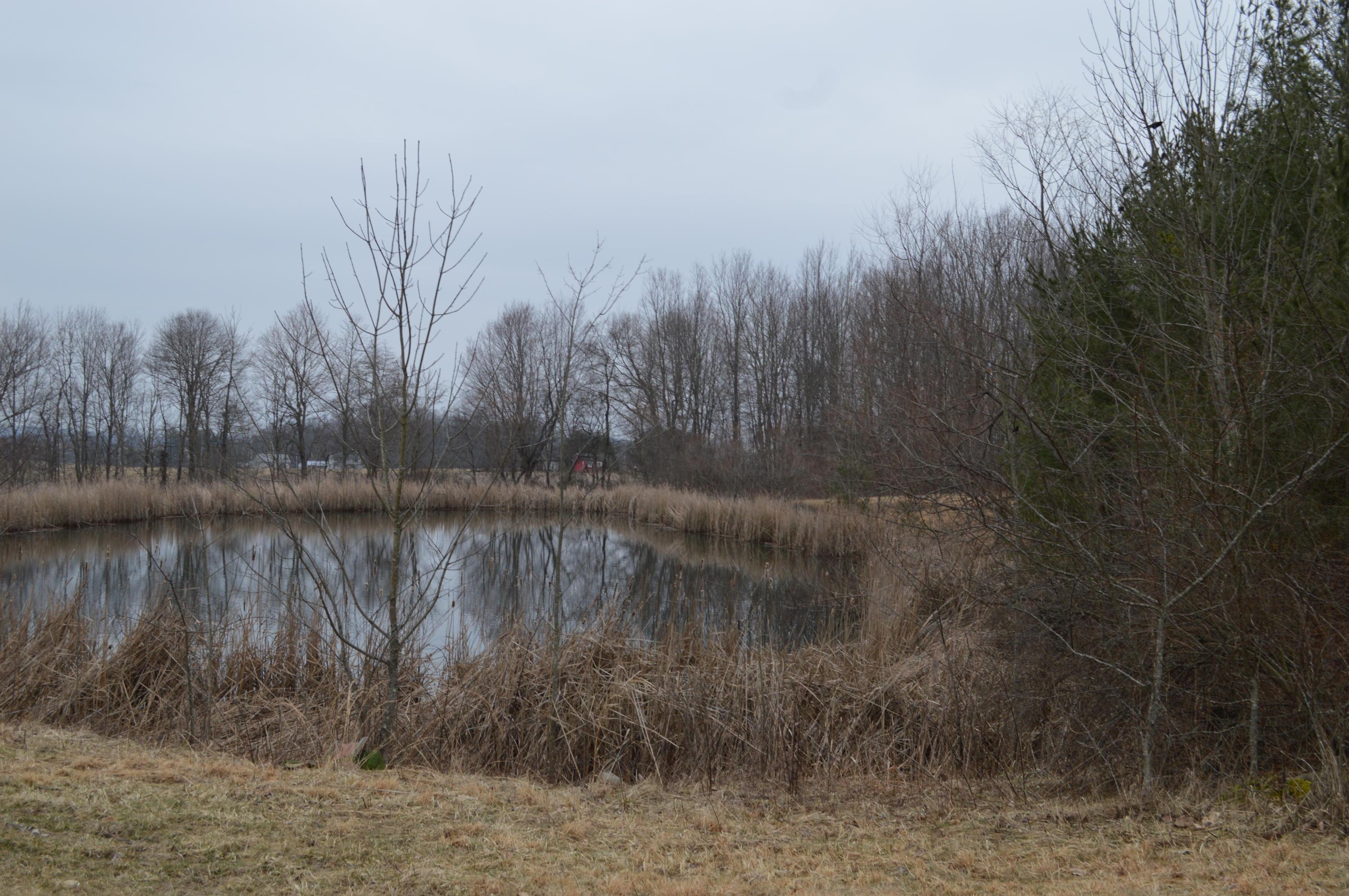 0 Pen Road Northwest Junction City, OH 43748 - Photo 5 of 8 Gallery Image 5