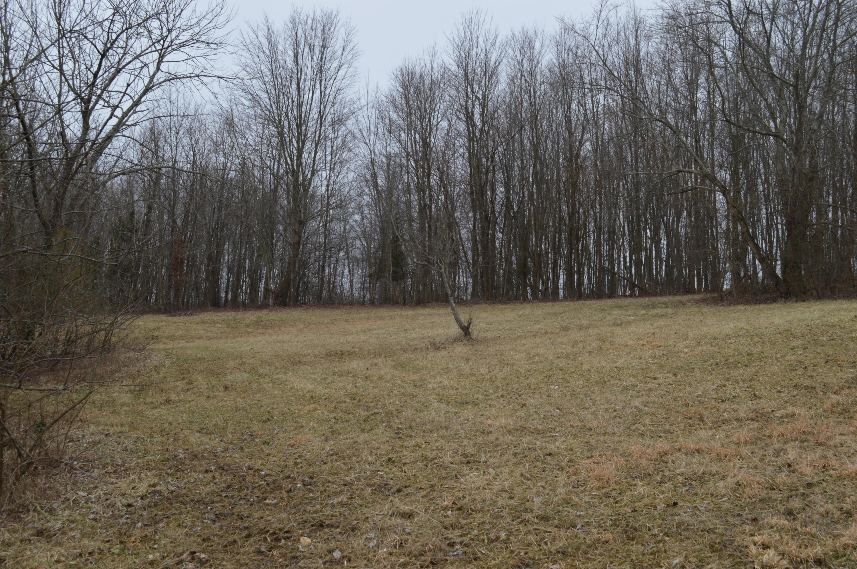 0 Pen Road Northwest Junction City, OH 43748 - Photo 6 of 8 Gallery Image 6