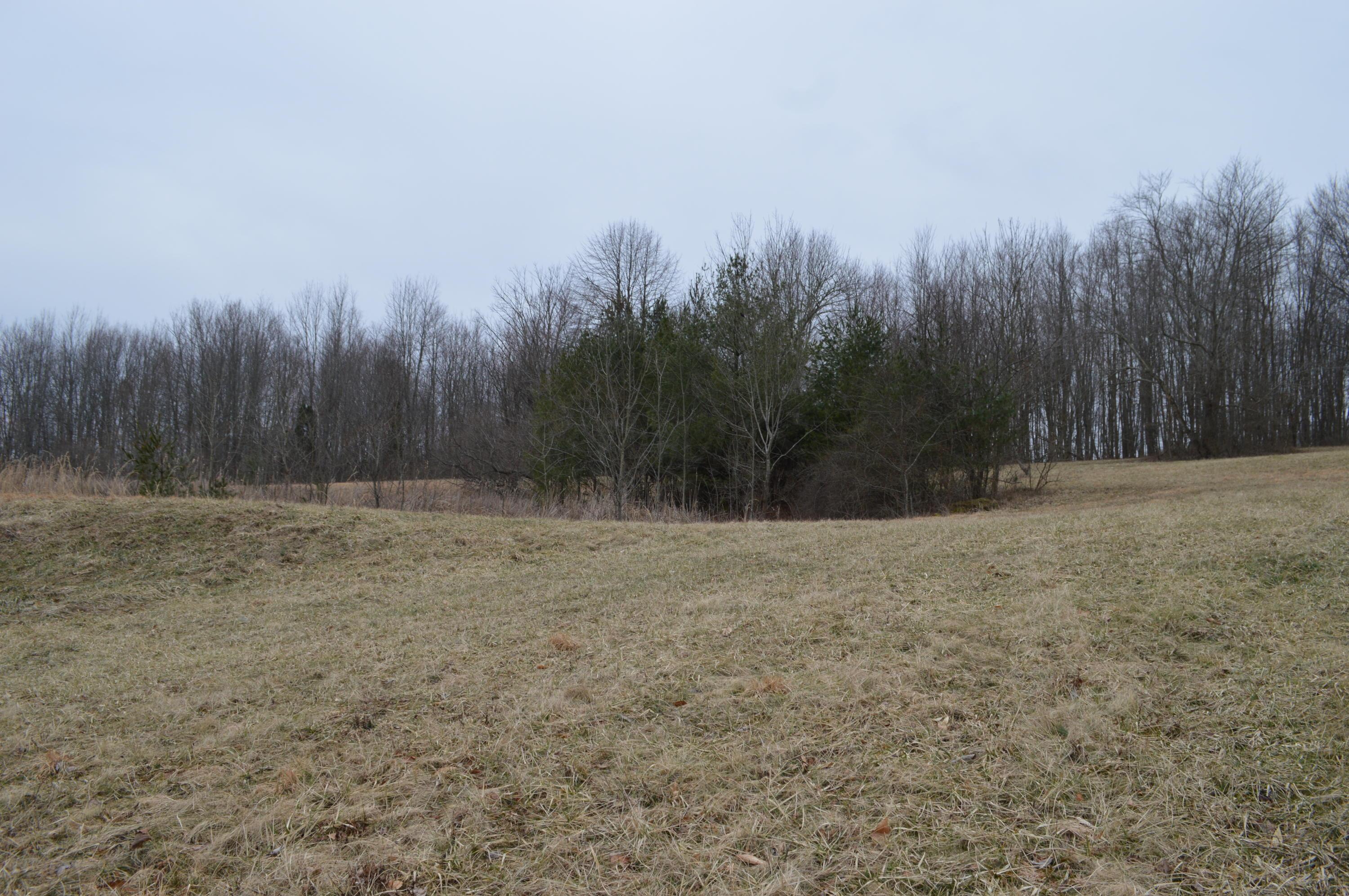 0 Pen Road Northwest Junction City, OH 43748 - Photo 8 of 8 Gallery Image 8