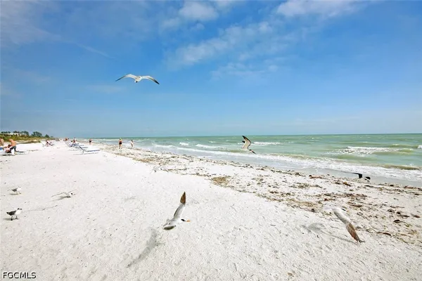 a view of beach and ocean