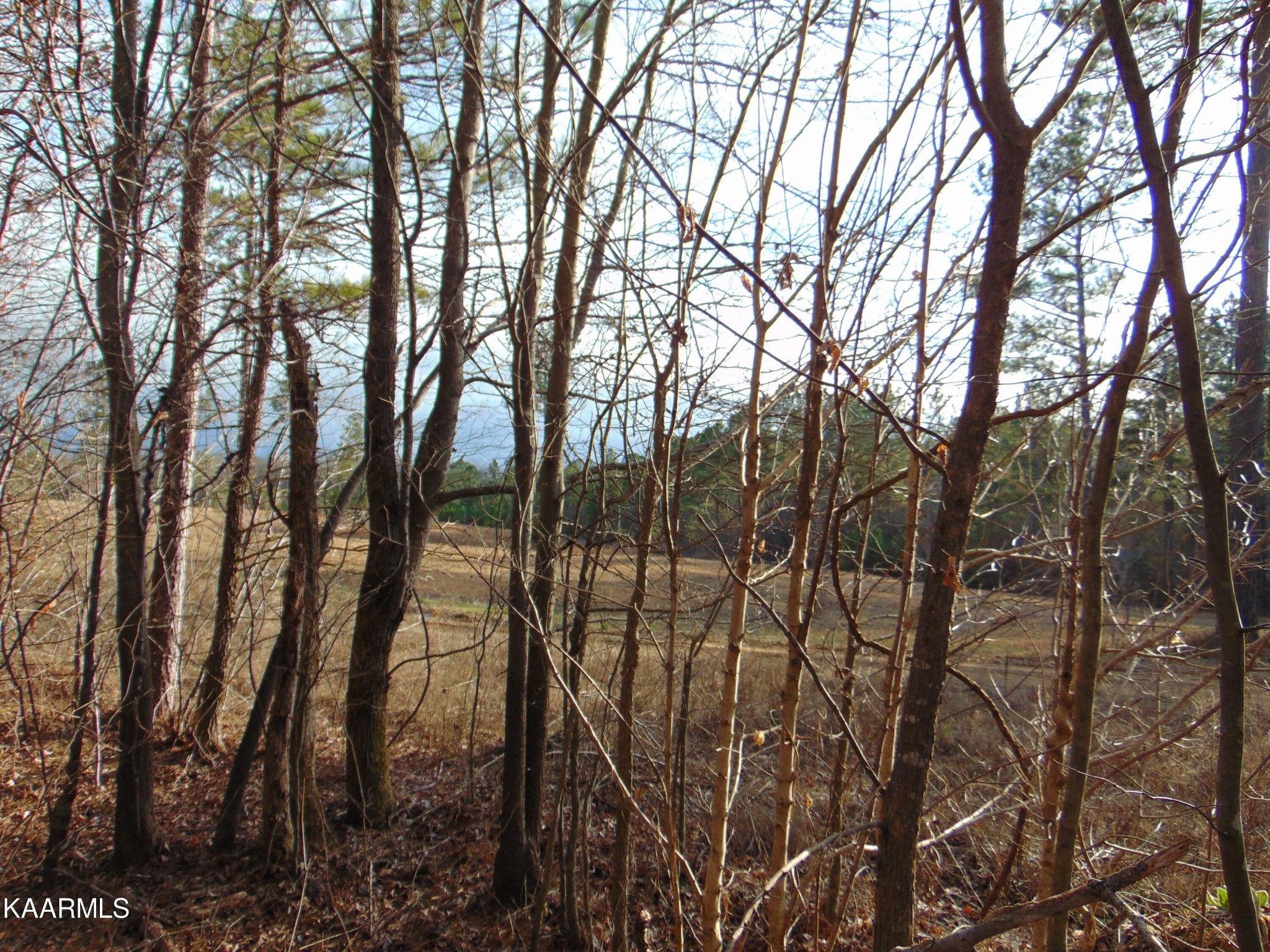 11 Athens Road Calhoun, TN 37309 - Photo 53 of 59 Gallery Image 53