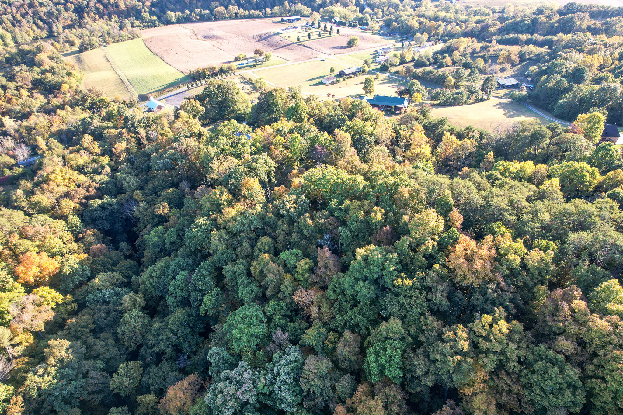 1316 Poplar Springs Road Greeneville, TN 37743 - Photo 59 of 98 DJI_0189