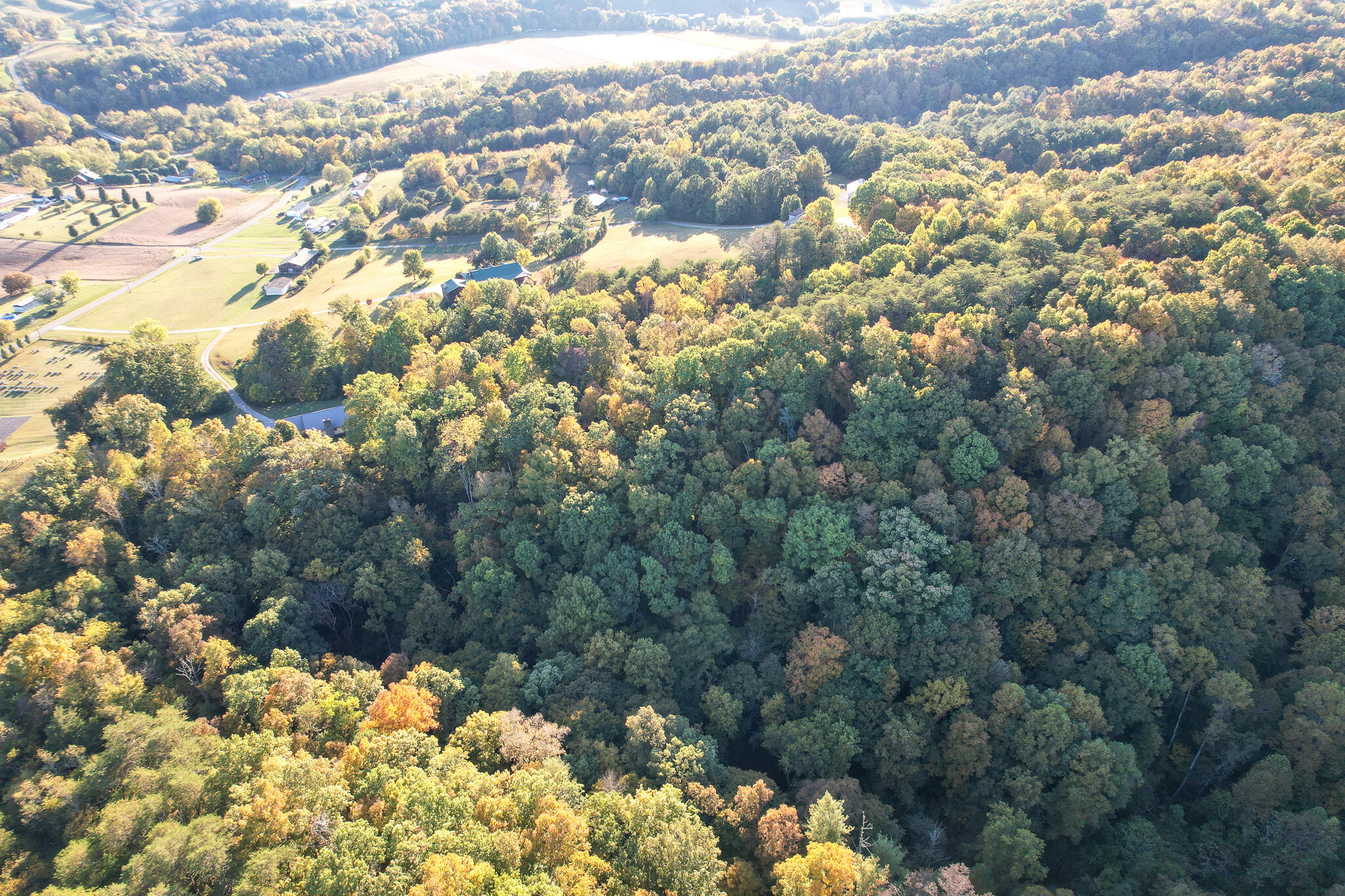 1316 Poplar Springs Road Greeneville, TN 37743 - Photo 60 of 98 DJI_0191