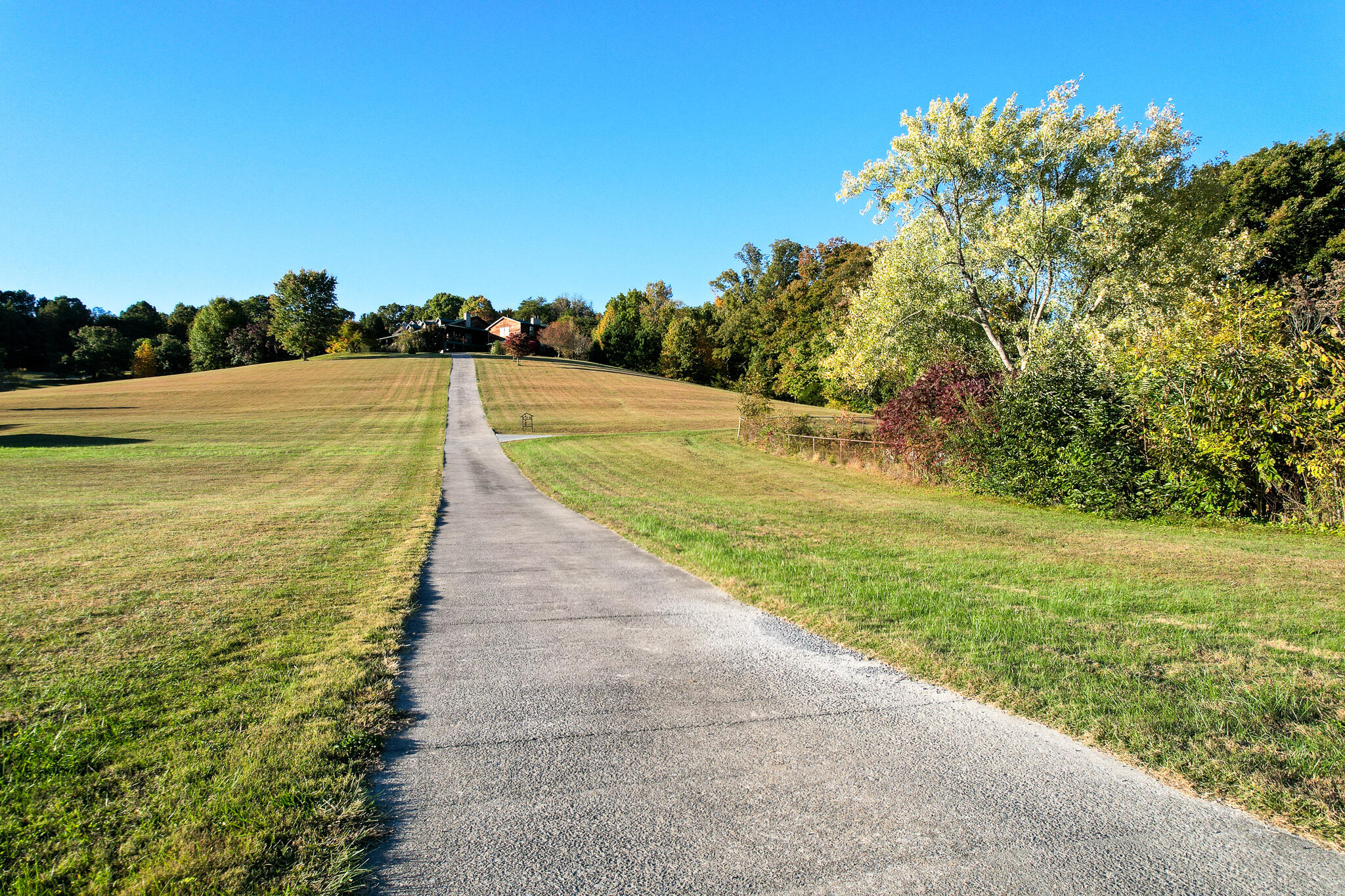 1316 Poplar Springs Road Greeneville, TN 37743 - Photo 62 of 98 DJI_0197