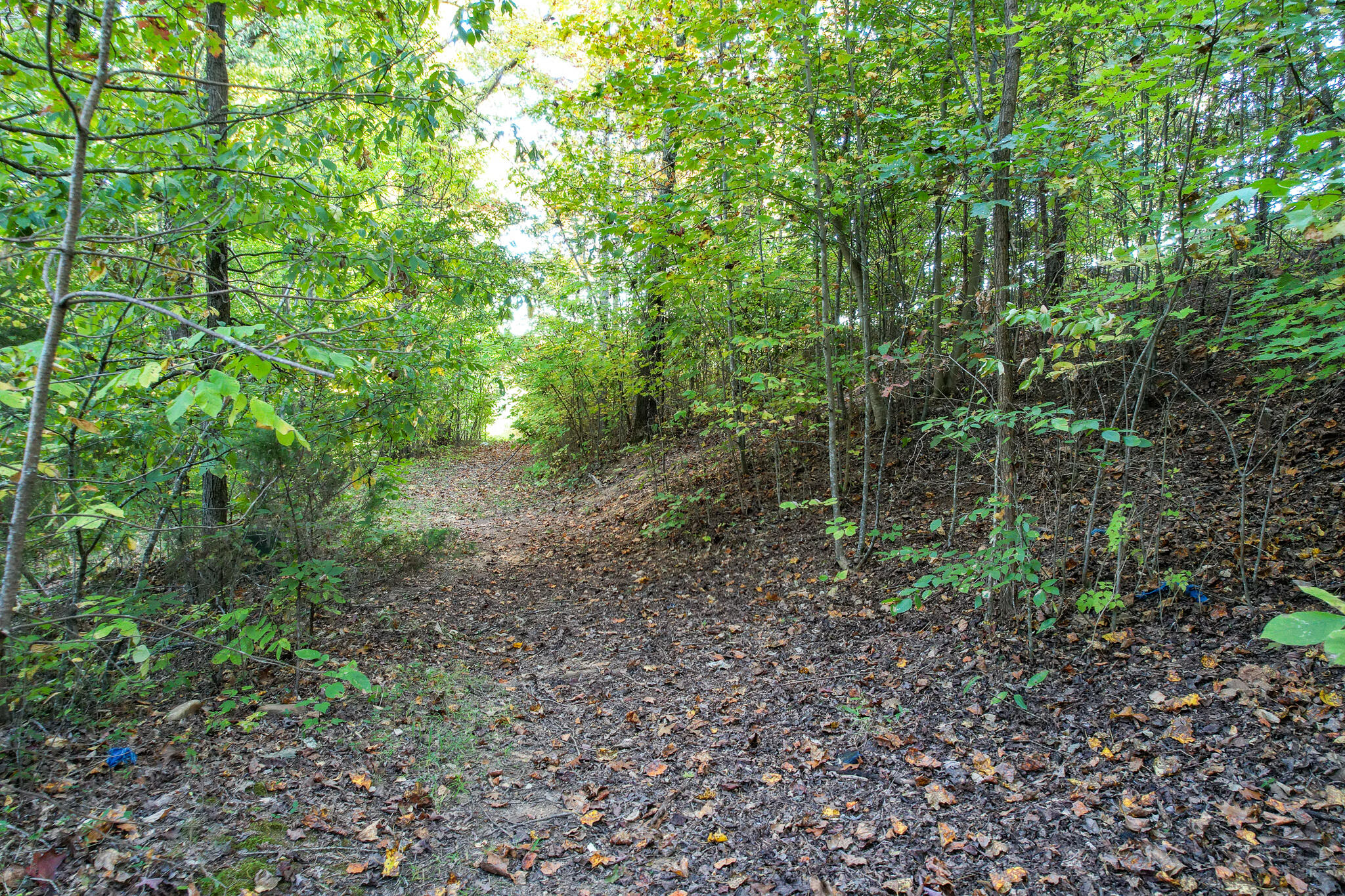 1316 Poplar Springs Road Greeneville, TN 37743 - Photo 94 of 98 DJI_0259