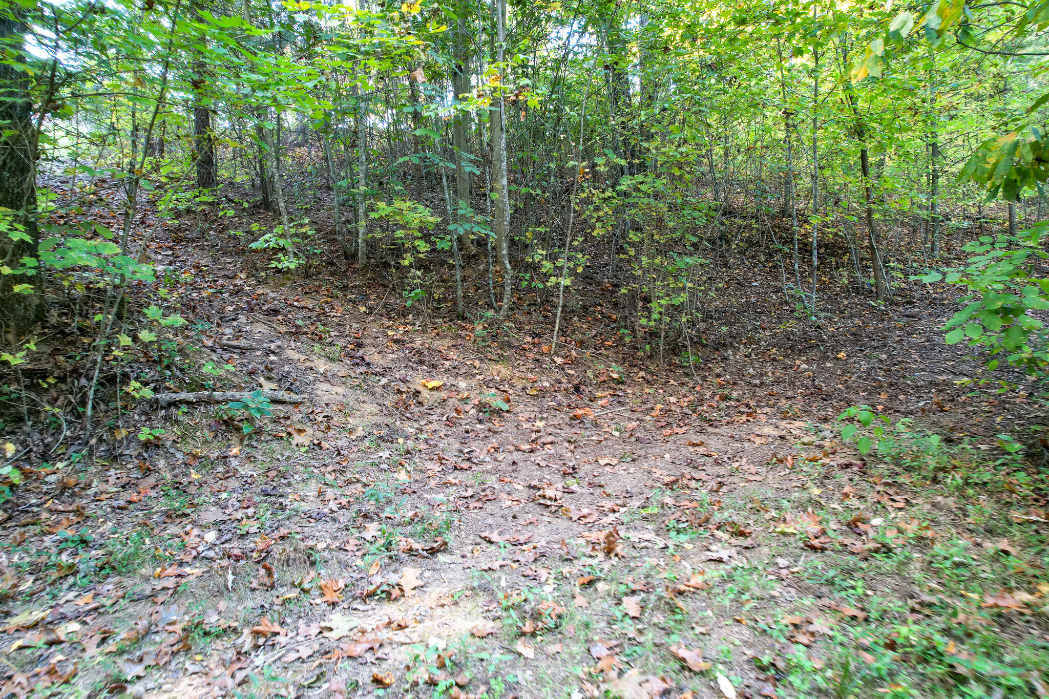 1316 Poplar Springs Road Greeneville, TN 37743 - Photo 97 of 98 DJI_0269