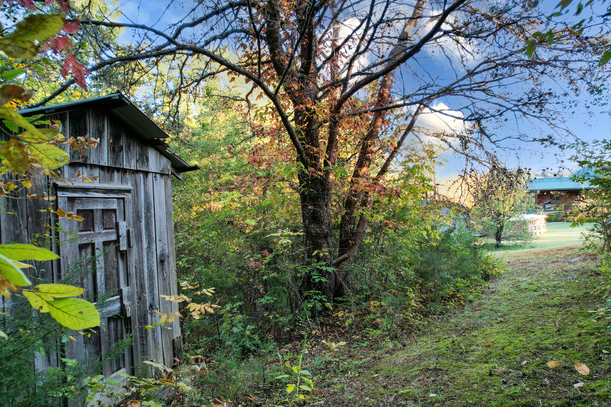 1316 Poplar Springs Road Greeneville, TN 37743 - Photo 98 of 98 DJI_0271-Edit