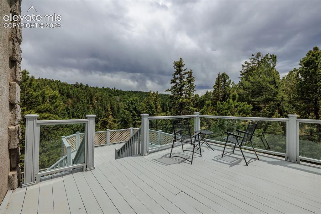 6100 Elk Valley Road Divide, CO 80814 - Photo 42 of 50