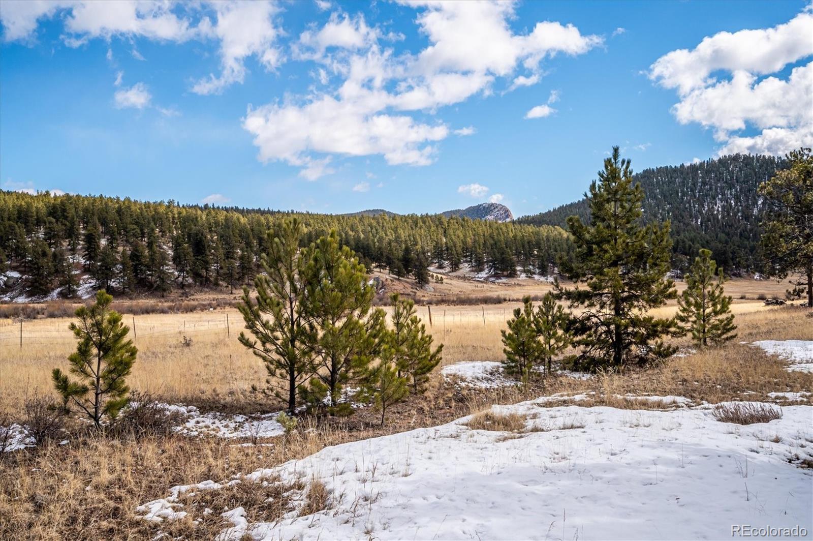 629 Conestoga Road Bailey, CO 80421 - Photo 22 of 29
