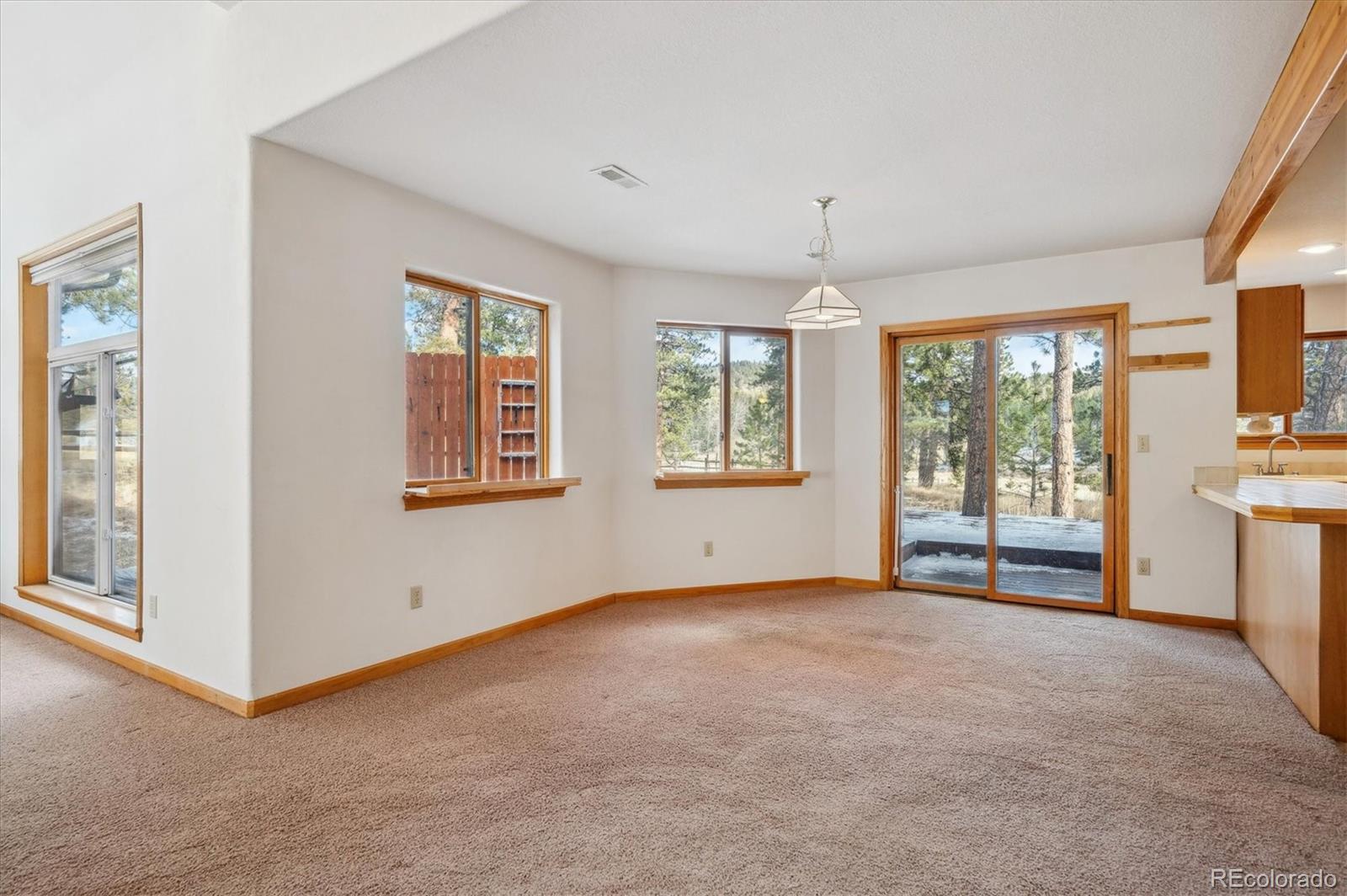 629 Conestoga Road Bailey, CO 80421 - Photo 7 of 29