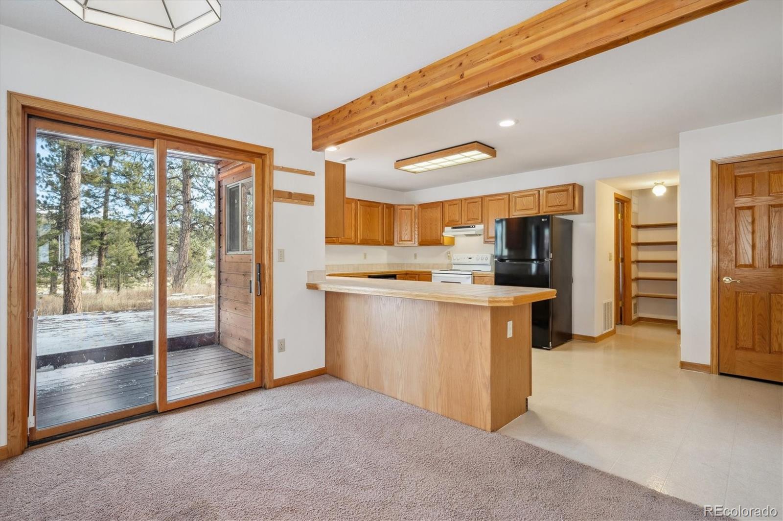 629 Conestoga Road Bailey, CO 80421 - Photo 8 of 29