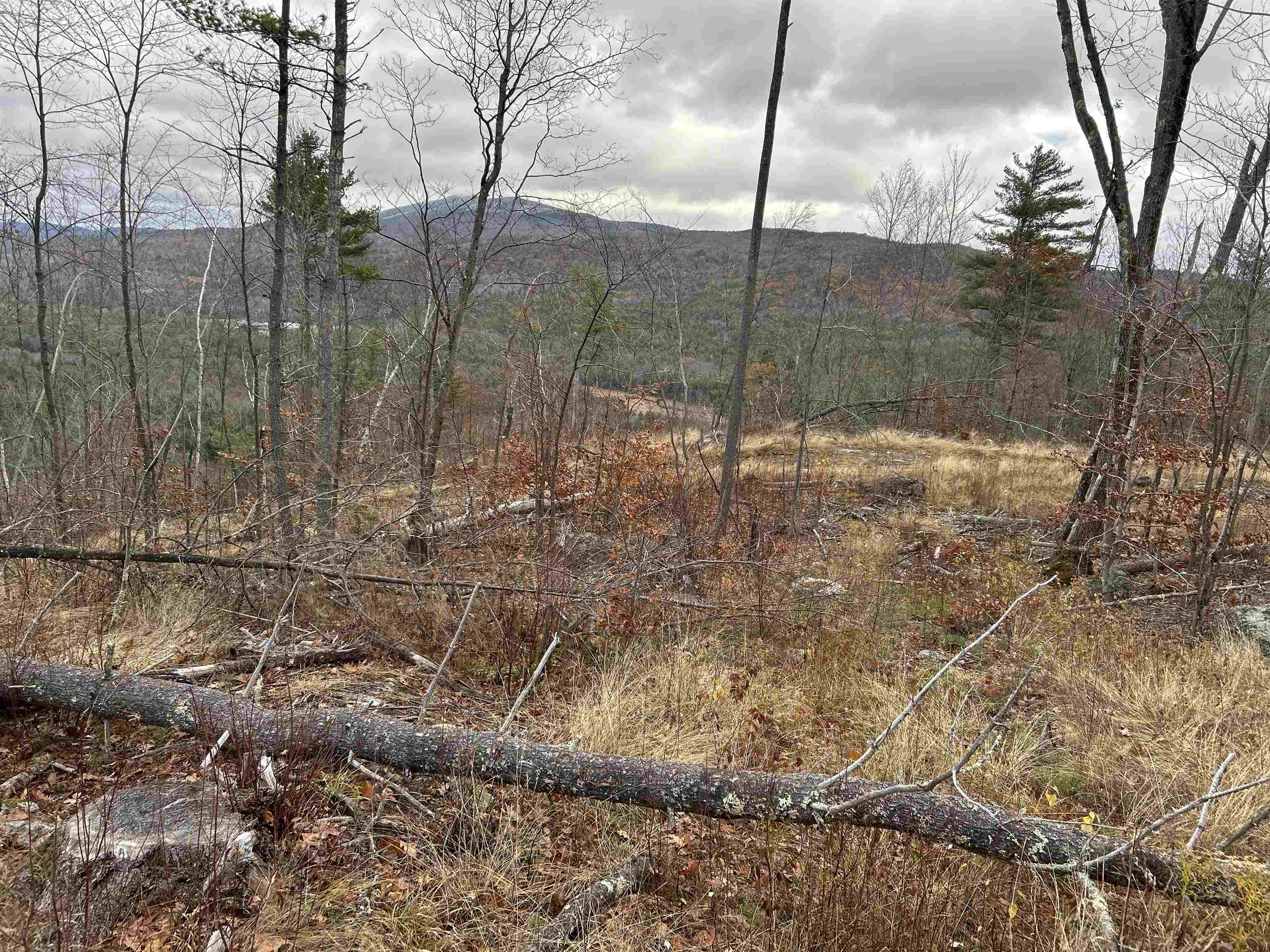 0 Pound Road North North Sutton, NH 03260 - Photo 12 of 41