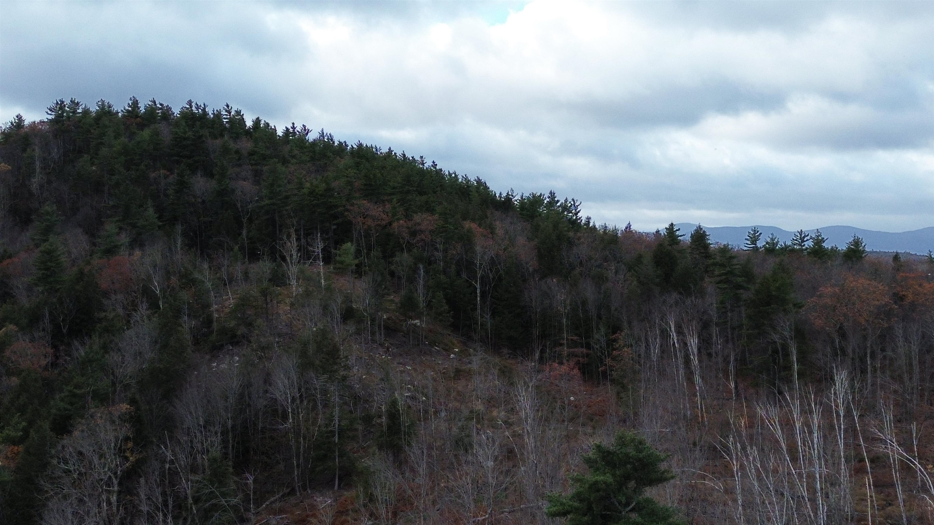 0 Pound Road North North Sutton, NH 03260 - Photo 14 of 41