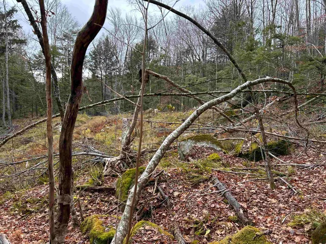 $329,000 | 0 Pound Road North, North Sutton, NH 03260