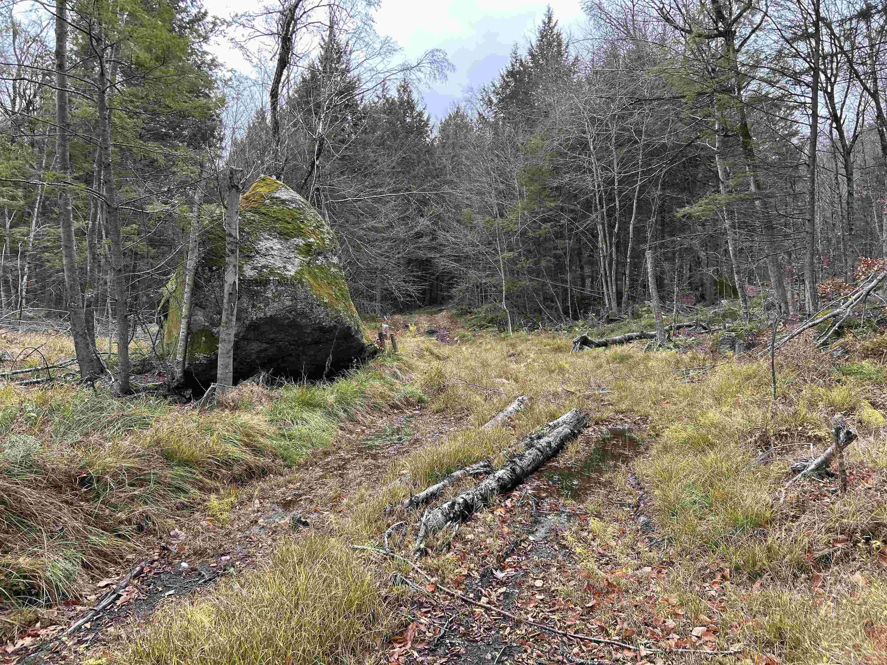 0 Pound Road North North Sutton, NH 03260 - Photo 17 of 41