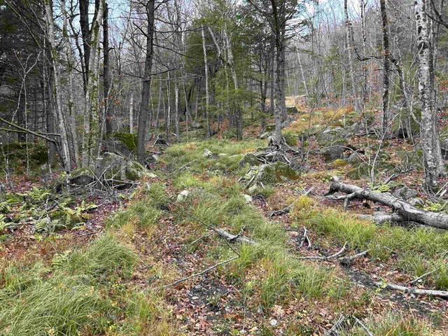 $329,000 | 0 Pound Road North, North Sutton, NH 03260