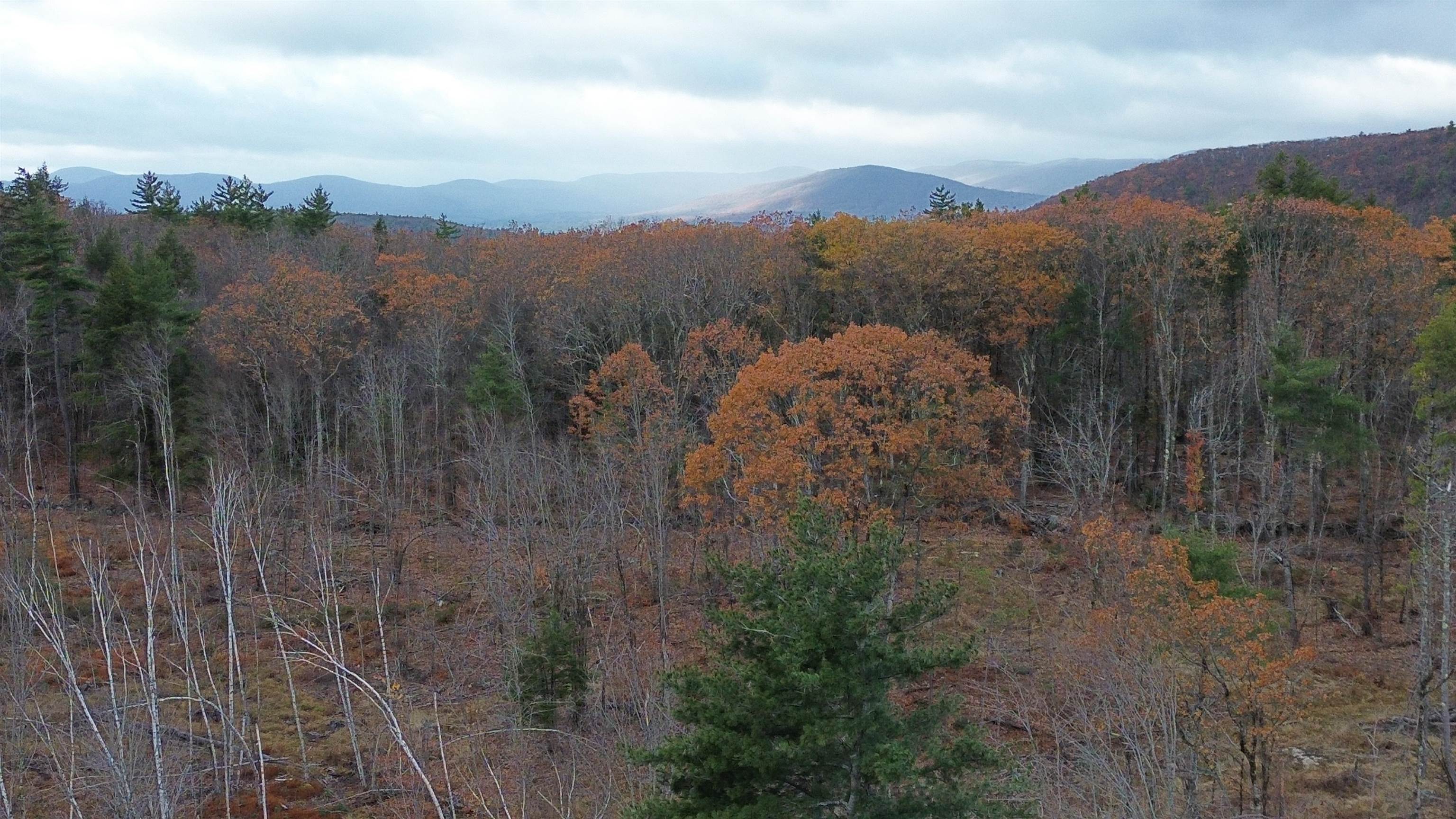 0 Pound Road North North Sutton, NH 03260 - Photo 20 of 41