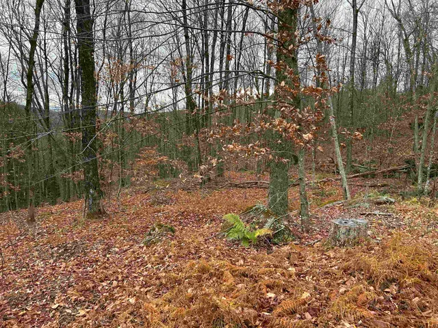 $329,000 | 0 Pound Road North, North Sutton, NH 03260