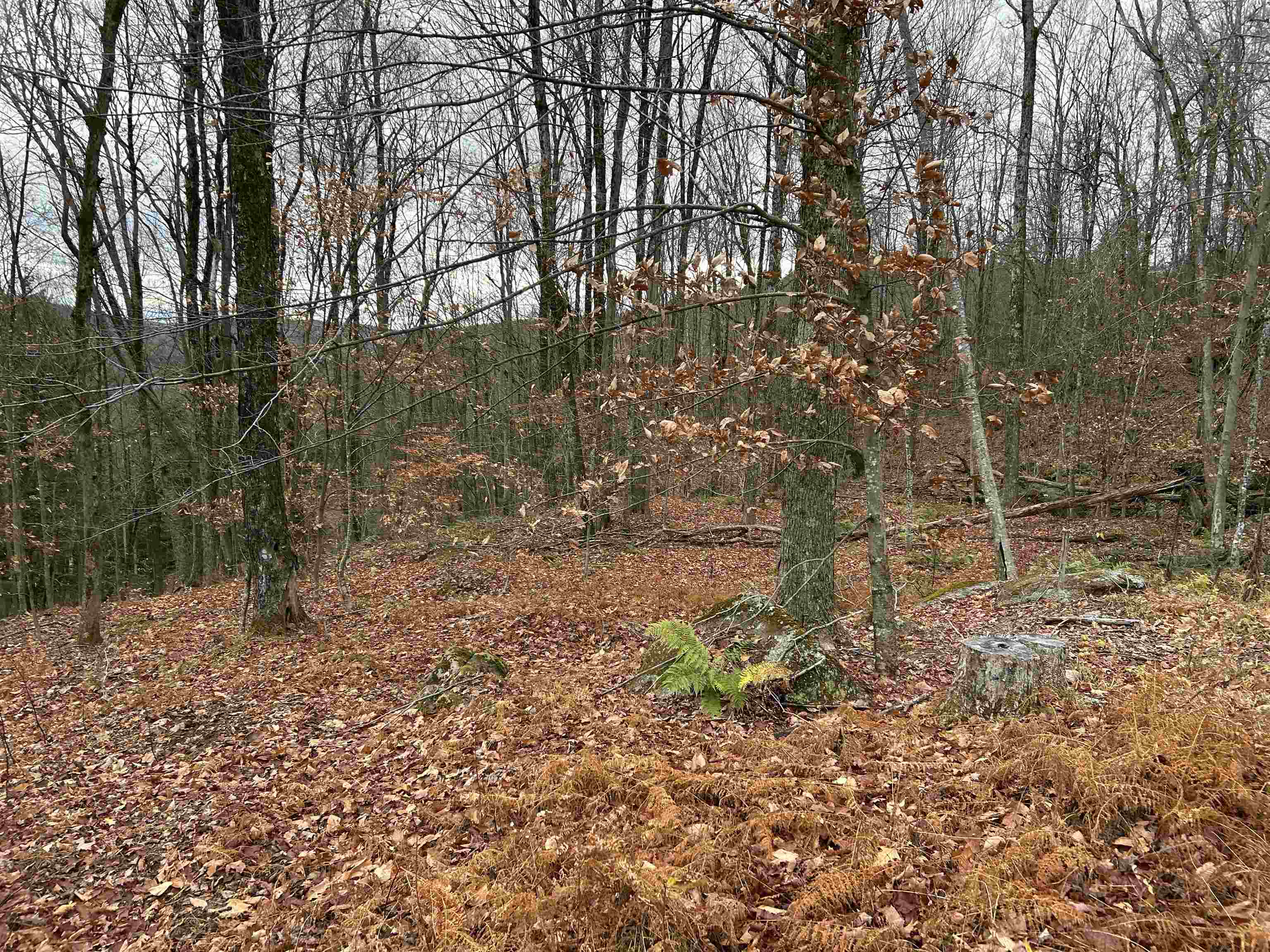 0 Pound Road North North Sutton, NH 03260 - Photo 2 of 41