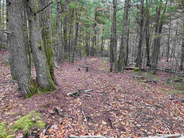 $329,000 | 0 Pound Road North, North Sutton, NH 03260