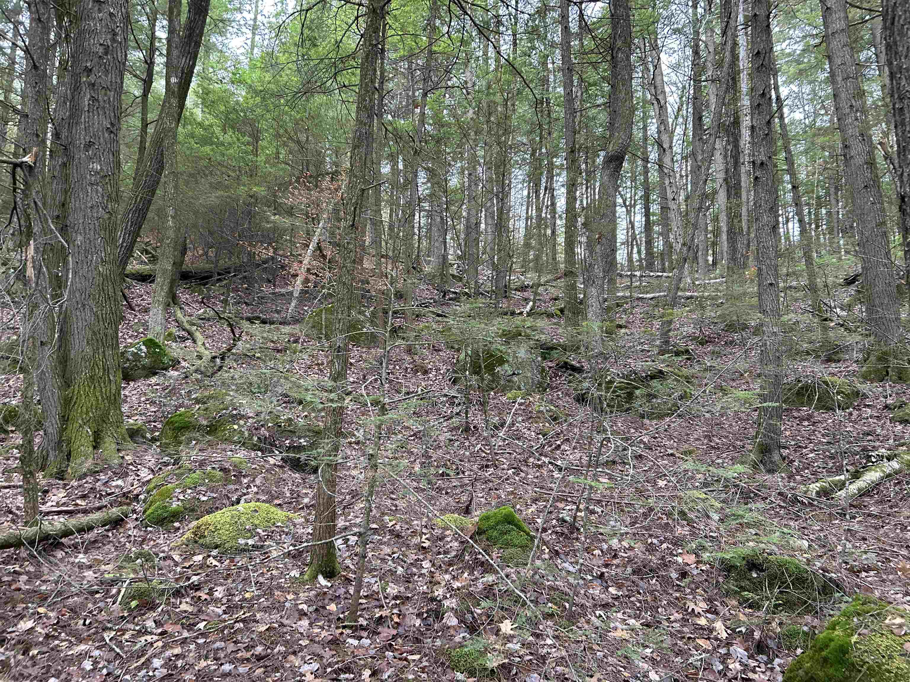 0 Pound Road North North Sutton, NH 03260 - Photo 24 of 41