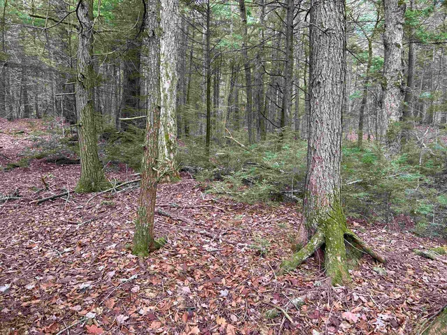 $329,000 | 0 Pound Road North, North Sutton, NH 03260