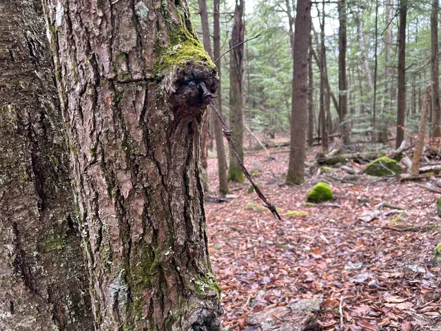 $329,000 | 0 Pound Road North, North Sutton, NH 03260