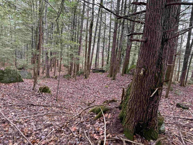 $329,000 | 0 Pound Road North, North Sutton, NH 03260