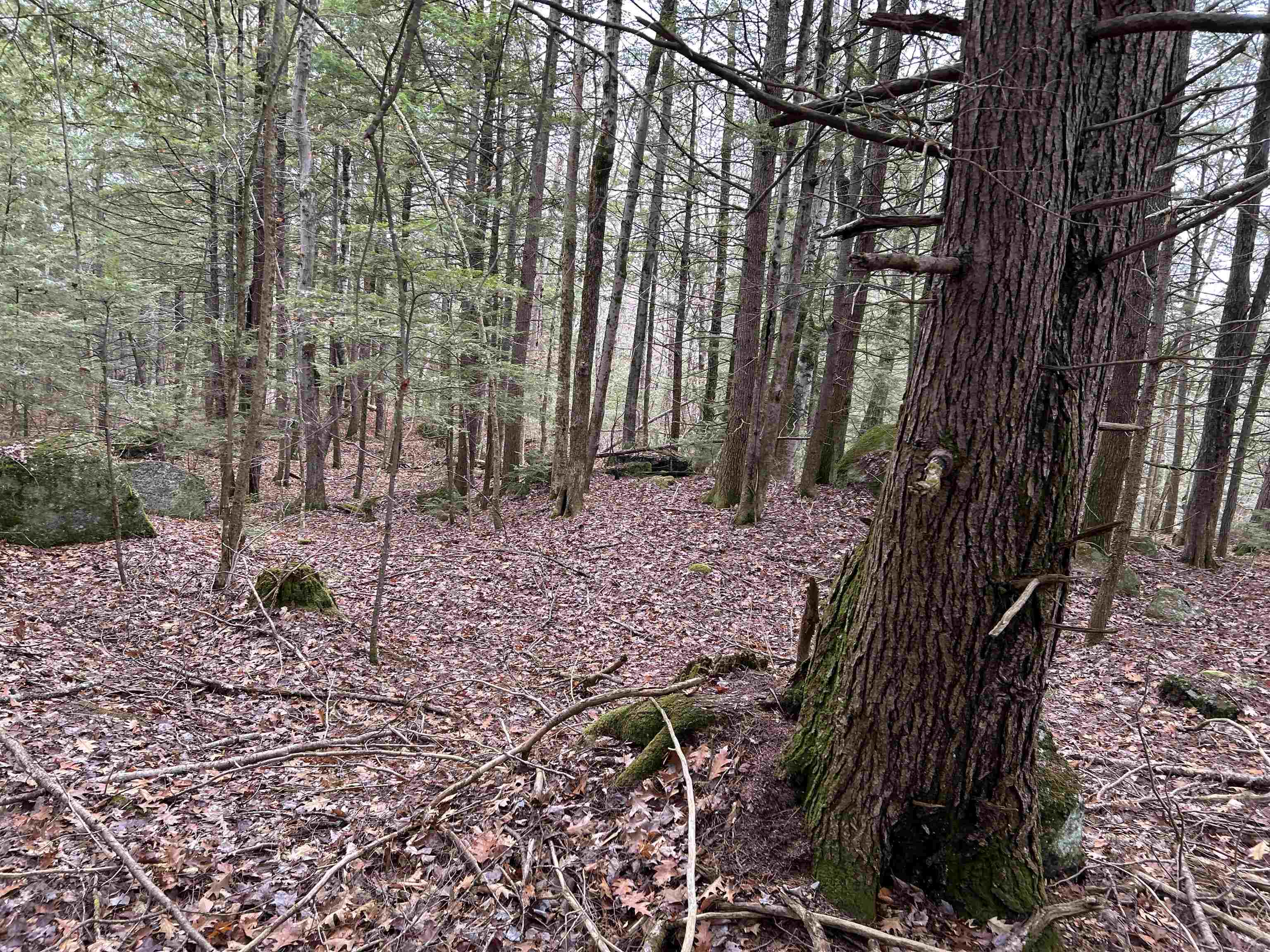 0 Pound Road North North Sutton, NH 03260 - Photo 29 of 41