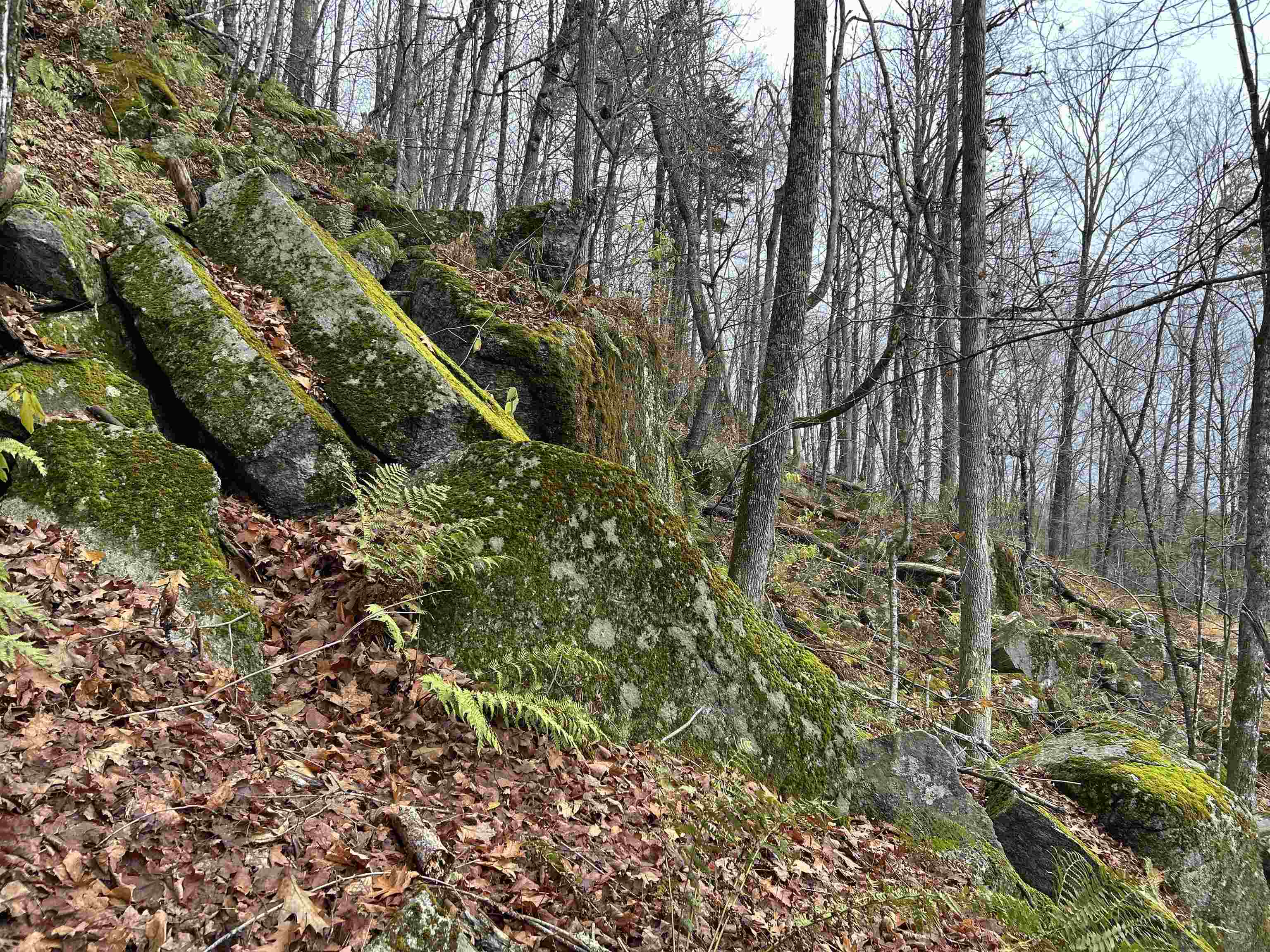 0 Pound Road North North Sutton, NH 03260 - Photo 3 of 41