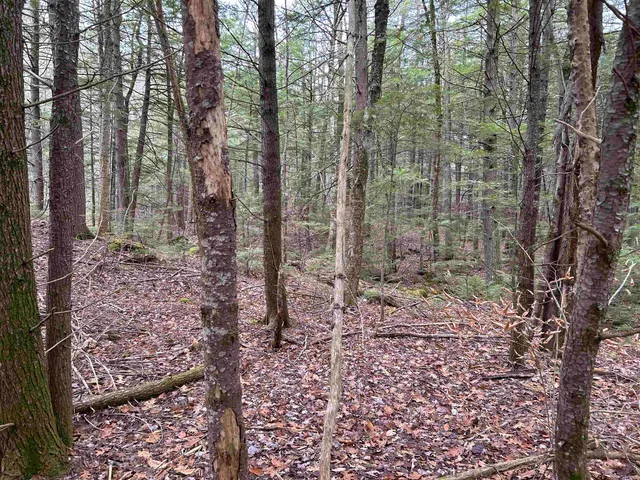 $329,000 | 0 Pound Road North, North Sutton, NH 03260