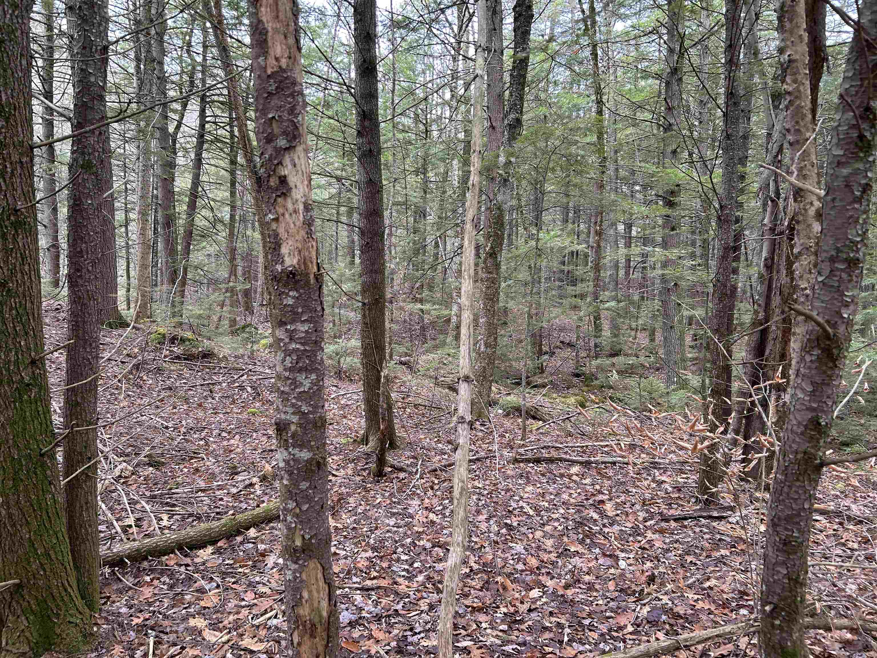 0 Pound Road North North Sutton, NH 03260 - Photo 31 of 41