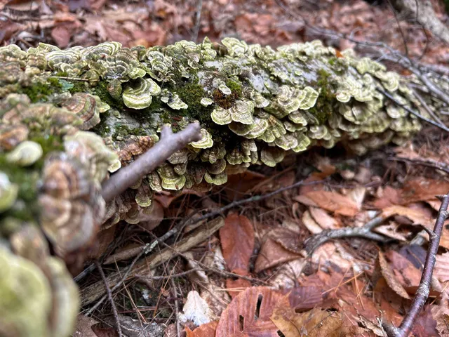 $329,000 | 0 Pound Road North, North Sutton, NH 03260