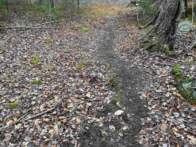 $329,000 | 0 Pound Road North, North Sutton, NH 03260