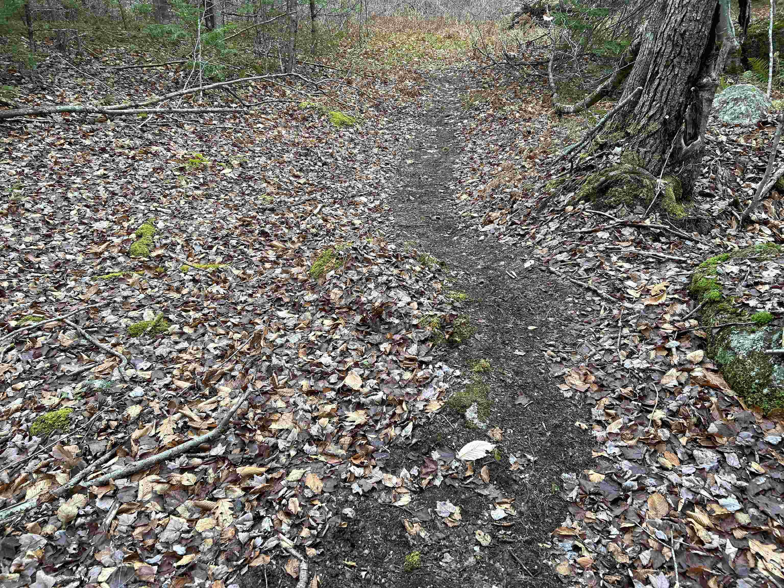 0 Pound Road North North Sutton, NH 03260 - Photo 33 of 41